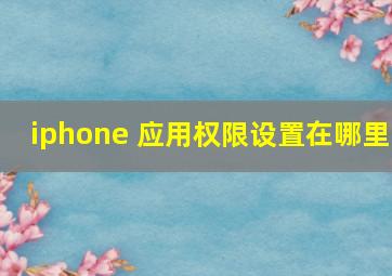 iphone 应用权限设置在哪里